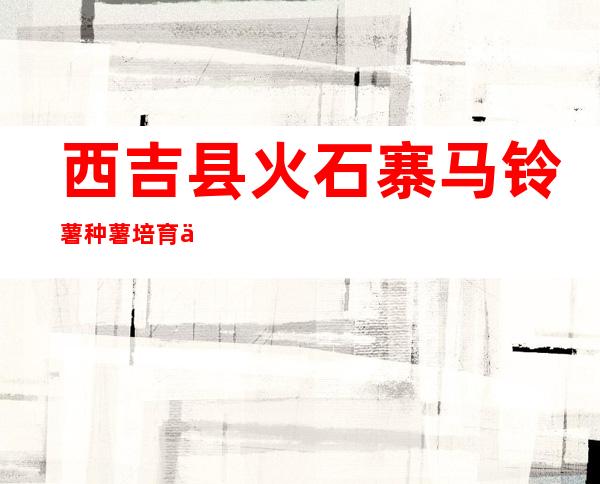西吉县火石寨马铃薯种薯培育专业合作社